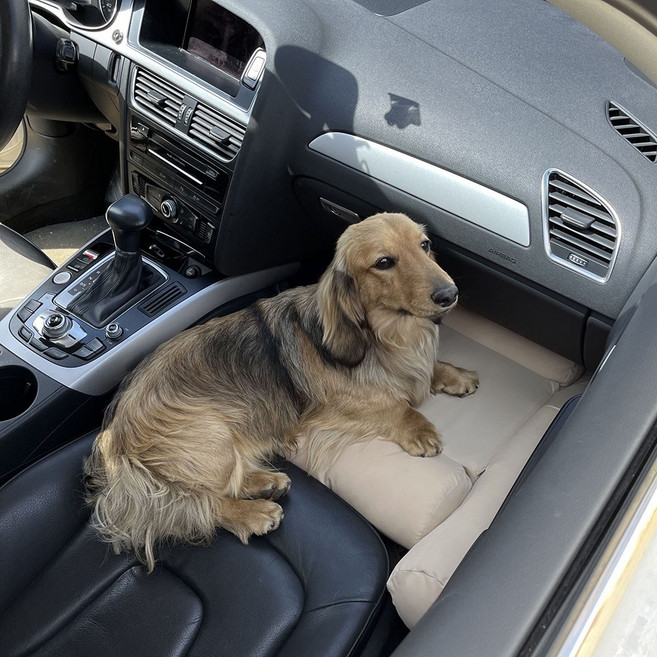 카스툴 강아지 앞좌석 추락 방지 카시트 중형견 대형견용 차량용 확장형 자동차 시트, 1개, 아이보리