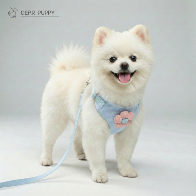 디어퍼피 플라워 하네스 가슴줄 리드줄 세트 산책줄 소형견 중형견, 블루피오니