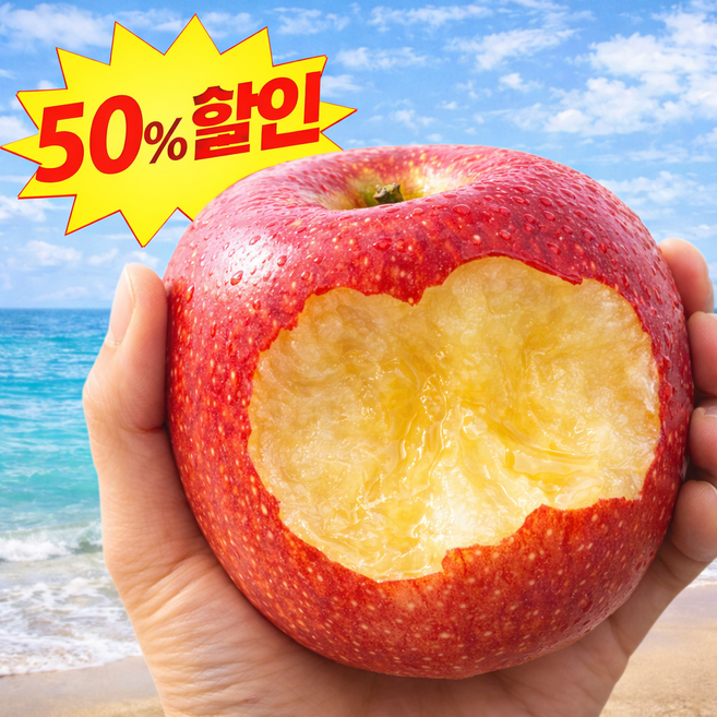 [오늘만초특가] 선착순100박스 재구매율1위 환상의맛 부사사과, 1박스, 5kg