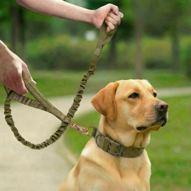더트롱 대형견 중형견 벨트 목줄 리드줄 세트, 카키, 1세트