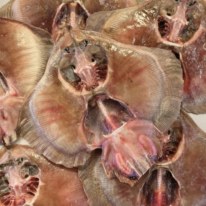 국내산 간재미 생선 가재미 손질생선 특대 ( 28cm이내 ) - 무침 회무침 간재미찜 조림용, 간재미 대 3마리, 1개