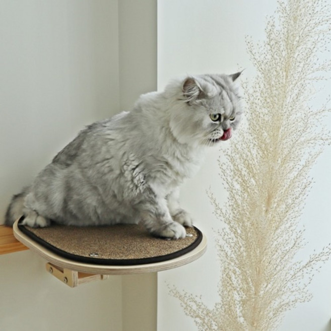 [펫502] 고양이 선반 캣타워 책장 해먹 캣워크, 선반캣타워 대형 브라운, 1개