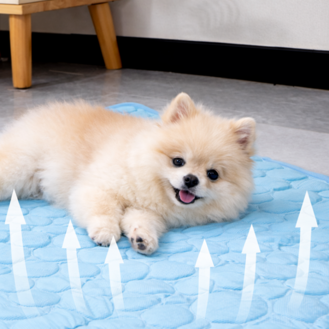 강아지 고양이 빨아쓰는 쿨매트 방석 대형 쿨패드 냉감매트, 1개, 블루