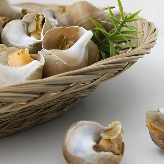 [당일조업] 국내산 구룡포 백고동, 1박스, 1kg(대)