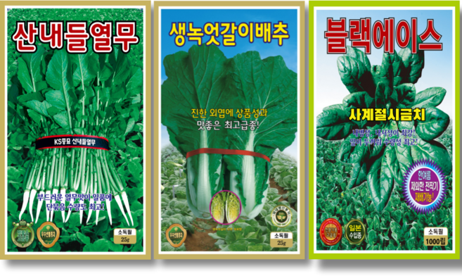 채소씨앗 3종 열무씨앗+엇갈이씨앗+시금치씨앗 텃밭 종자, 1개