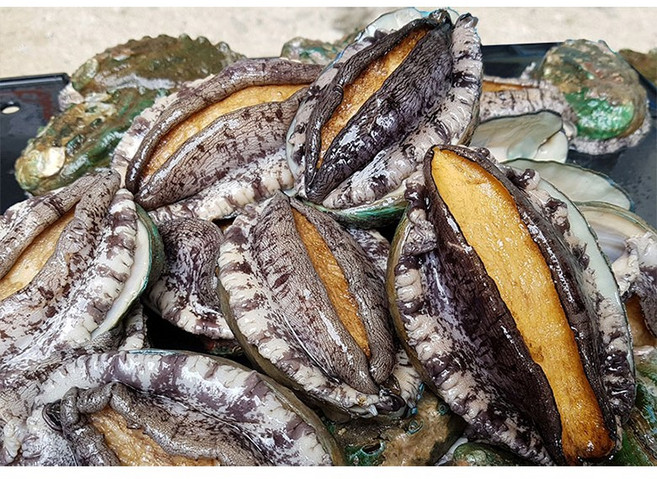 싱싱해 완도활전복 구이용 12-14미 생산자직송, 2kg(12~14미), 1박스