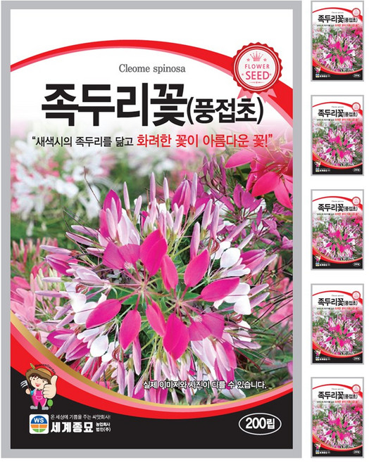 족두리꽃 씨앗 꽃씨 200립 꽃씨앗 세계종묘 모칸도, 6개