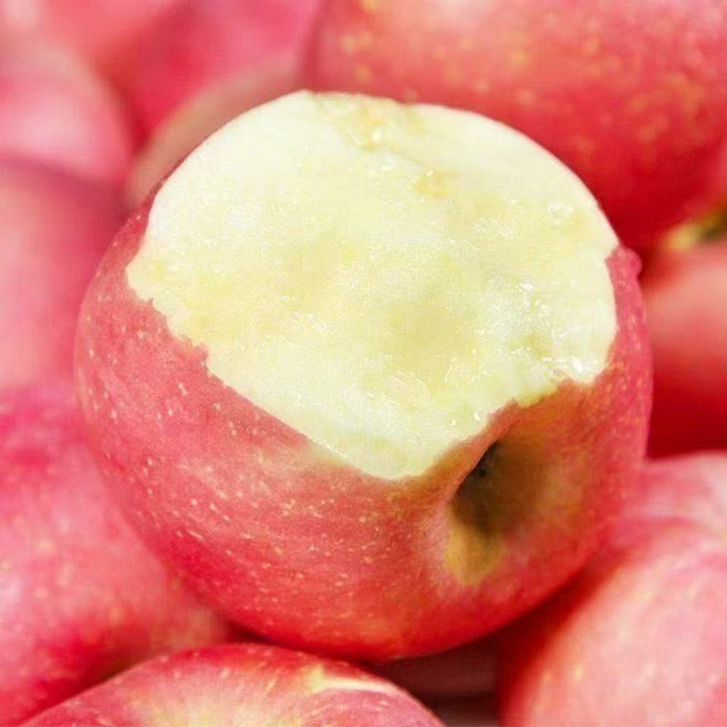 [클수록맛있다] 대과중에가장쌈 재구매1위 청송사과, 1개, 5kg 대과