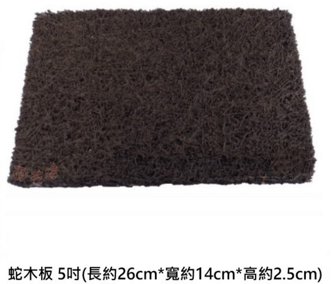 蛇木板 (長26cm*寬14cm*高2.5cm), 詳見包裝, 詳見包裝