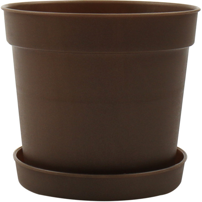 갑조네 담따화분, 골드, 1개