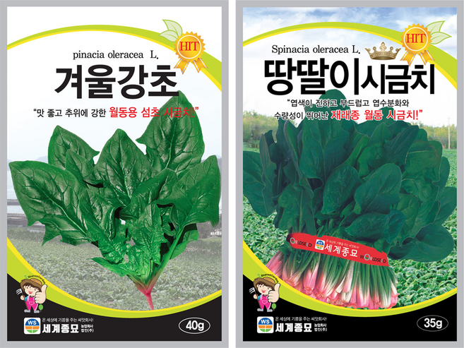 모칸도 시금치 씨앗 2종 1세트, 1개