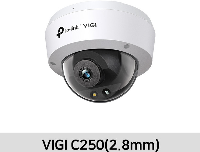 티피링크 VIGI 5MP 돔형 풀 컬러 IP 카메라 2.8mm, VIGI C250, 1개