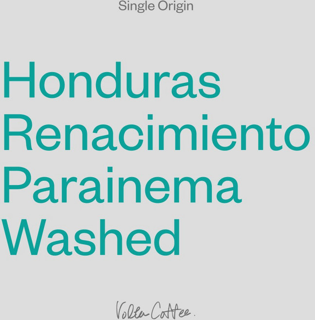 [볼타] 온두라스 레나시미엔토 파라이네마, 200g, 1개, 커피메이커(중간)