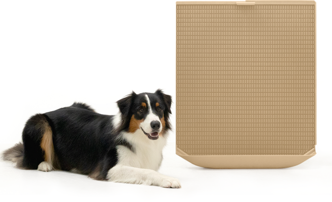 독톡 강아지 배변판 패드필요없음, 웜베이지, 1개