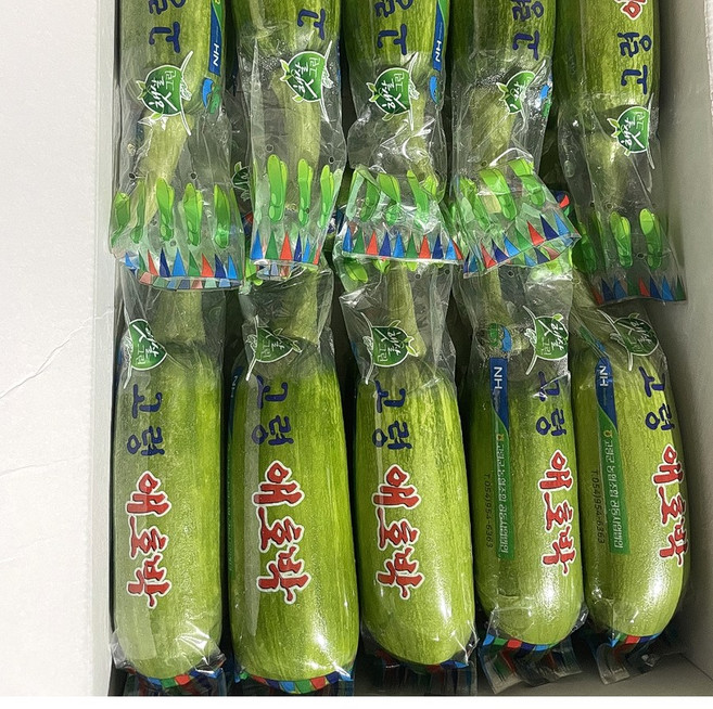 국내산 뚱뚱한 못난이애호박 상등급, 10개