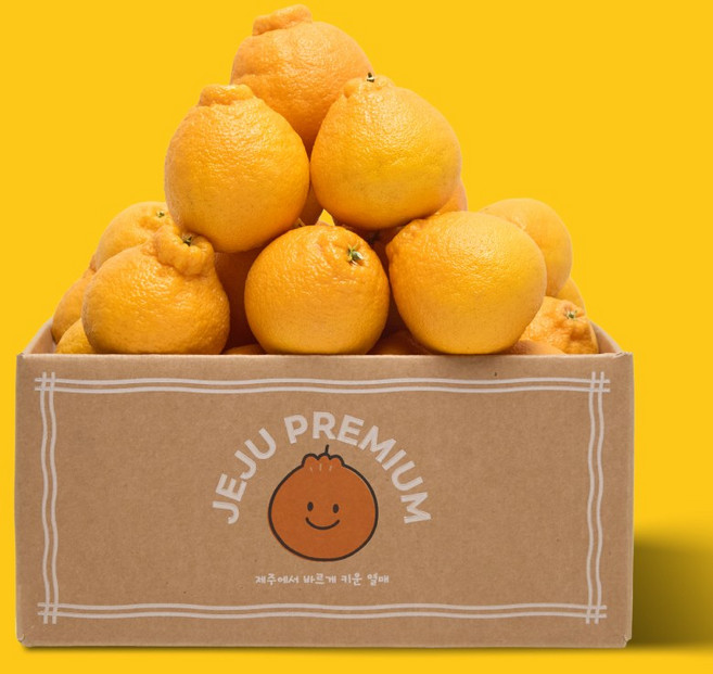 더모닝제주 한라봉 가정용 설날 명절 선물세트 산지직송, 1박스, 가정용 중대과 (30-50과) 9kg
