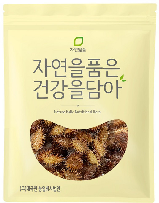 국산 도꼬마리 창이자 300g, 1개입, 1개