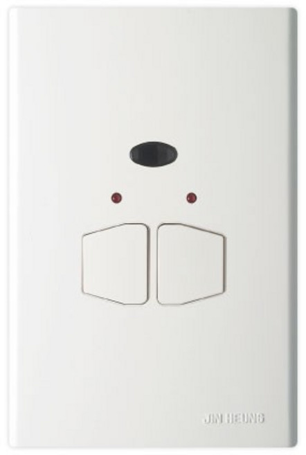 진흥전기 FS 환타지아 2구 리모콘 스위치 (리모콘포함), 1개