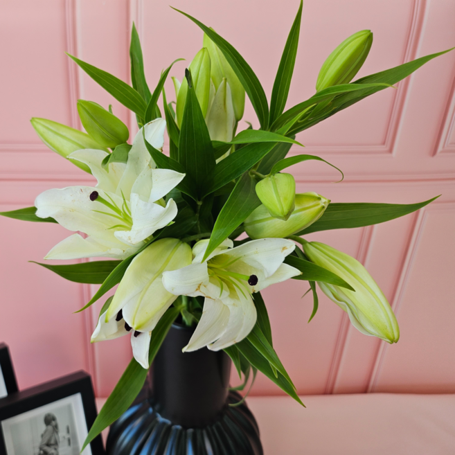 유스풀몰 소재 유칼립랜덤 반단 상품 생화 꽃다발 택배 꽃배달 싼곳, 시베리아 흰색백합 3대, 1개