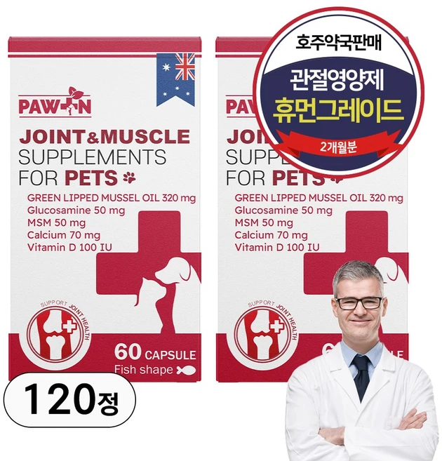 호주약국판매 포앤 강아지 고양이 관절영양제 슬개골탈구증상 초록입홍합 글루코사민 MSM 뼈/관절강화 60정 2개월분, 60회분, 2개 - 쿠팡