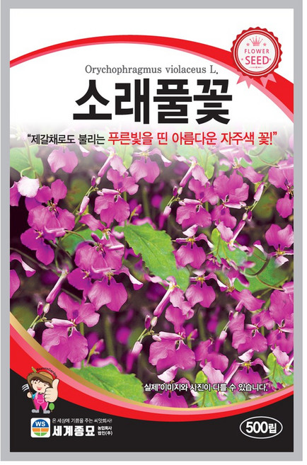 모칸도 (무배)세계 소래풀꽃 꽃씨 (500립), 1개