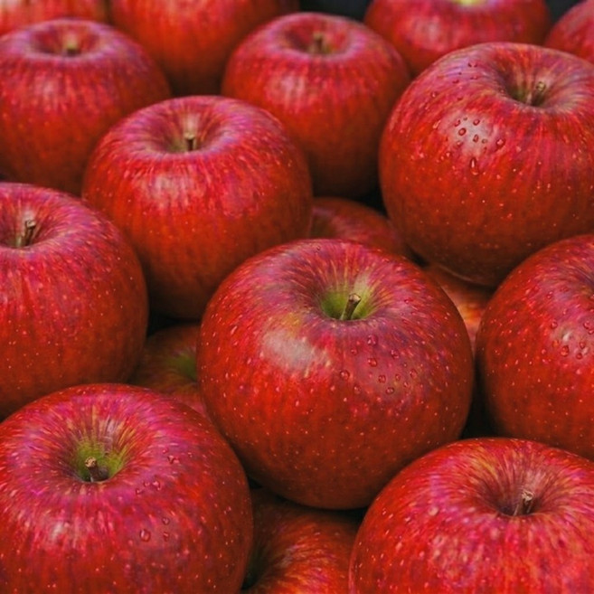 [한정특가] 고당도 꿀 부사 사과, 1세트, 3kg