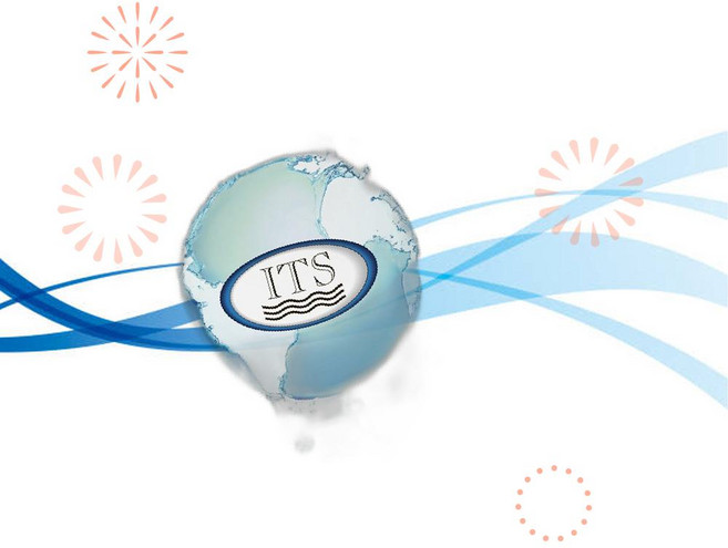 Industrial Test Systems ITS 수질검사 키트 WaterWorks 유리 총 염소 WW2 테스트 480655 SR