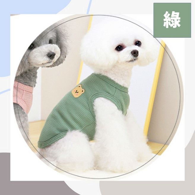 寵物兩腳背心 狗狗貓咪夏季薄款透氣衣 簡約小熊圖案舒適服飾, 綠色, 1個