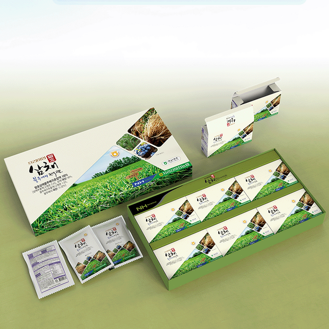 지리산마천농협 프리미엄 발효삼채블루베리진액겔 50g x 30포, 1개