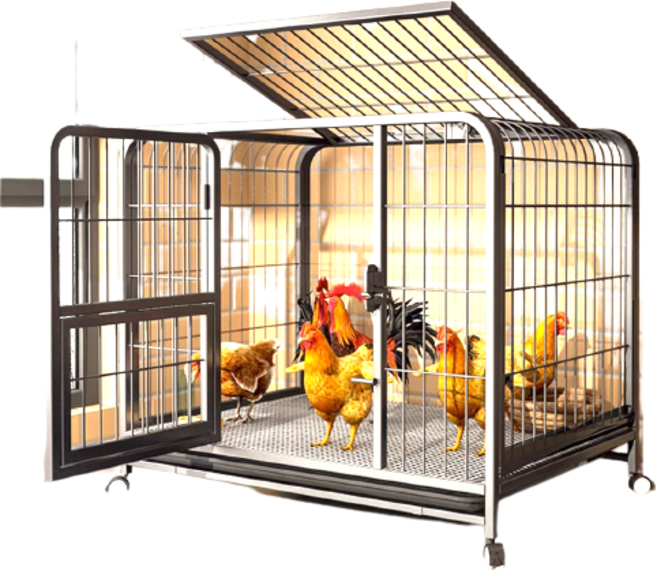 조립식 튼튼한 닭장 대형 새장 사육장 새집 양계장 삐약이 메추리, 접이식-100X60X70(6~7마리), 1개