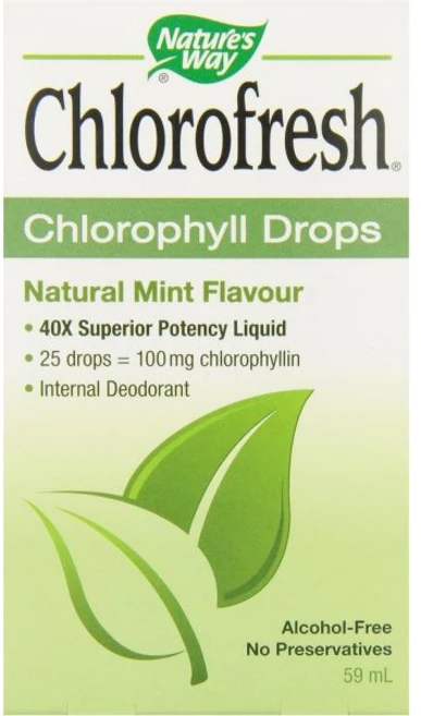 네이처스 웨이 (2팩) 클로로프레시 클로로필 드롭 민트 향 2온스(59ml), 59ml - 쿠팡
