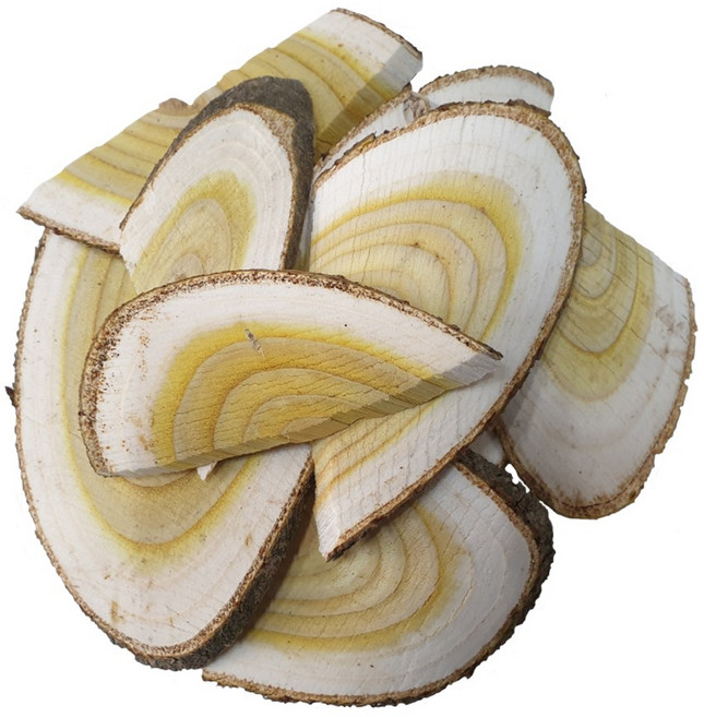 참옻나무 특품/동의보감촌 지리산 야생 옻나무 슬라이스(지리산한방식품), 300g, 1개, 300g