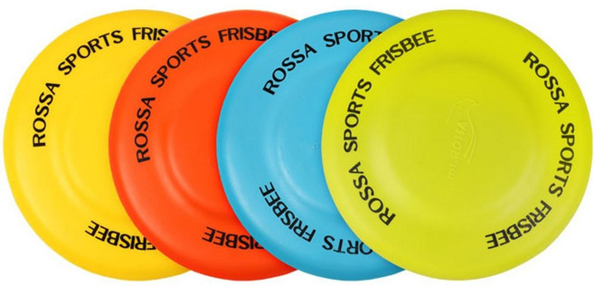 음영 로싸 소프트원반 던지기