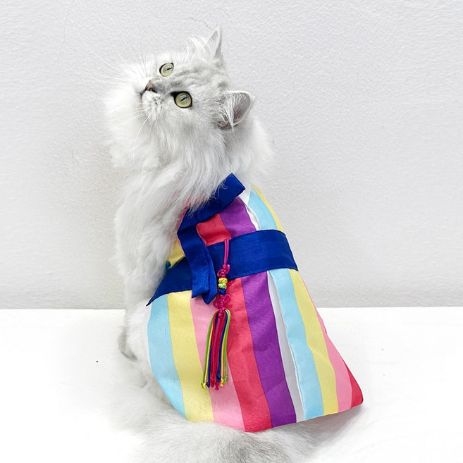 호나미네 고양이한복 강아지한복 색동 노방 왕자 한복, 1개, 블루