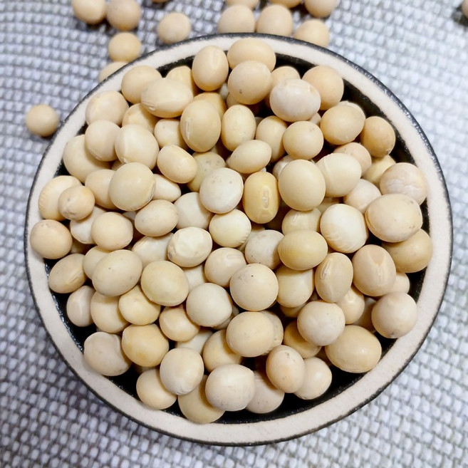 25년 국산 백태 2kg 노란콩 메주콩 대두, 1개