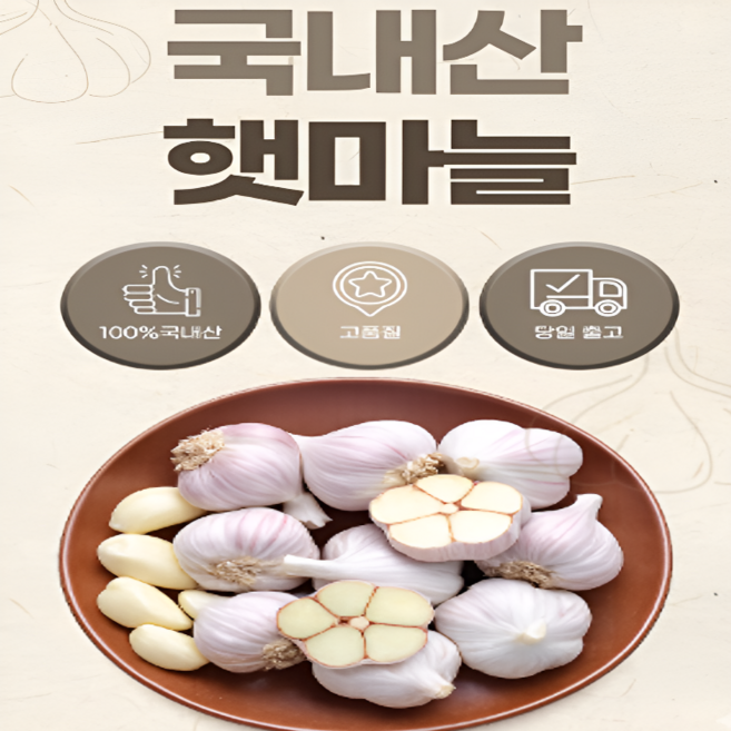 2026년산 국내산 100% 햇마늘 최상급 통마늘 산지직송 산지발송 햇마늘, 1개, 햇마늘1kg