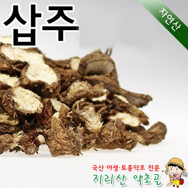 100%국내산 자연산 삽주뿌리(손절)300g 백출 창출 차 효능 효과 말린 건조 야생, 300g, 1개