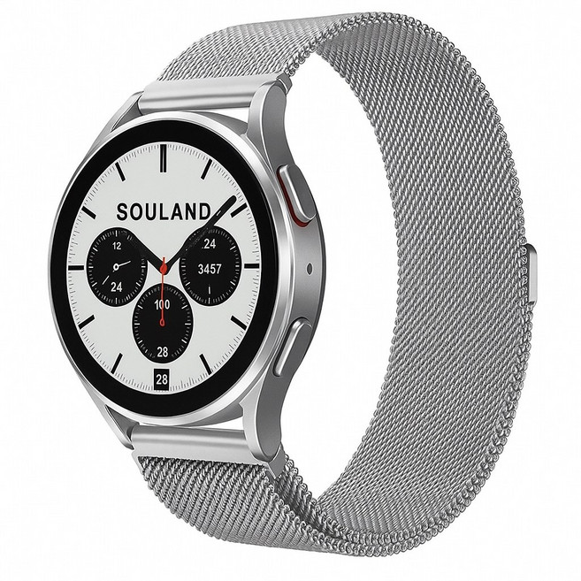 소울랜드 갤럭시워치 호환 마그네틱 스트랩, 실버, 1개