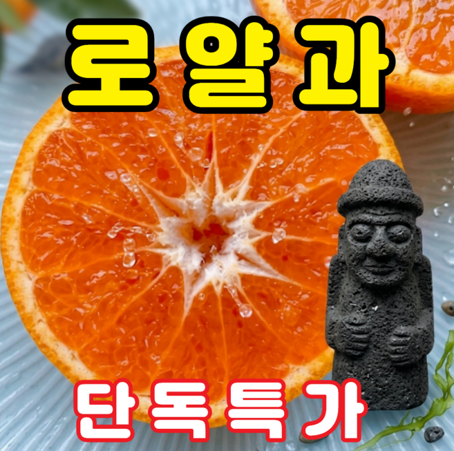 [백화점납품] 타임특가 산지직송 제주 카라향, 1박스, 3kg