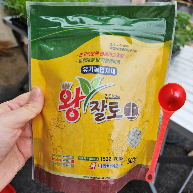 김일호 왕잘토 + 전용스푼, 500g, 1개