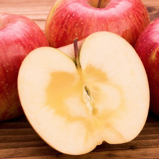 [파격딜]4월한정 극상달콤 식감몰빵 산지자부심 사과, 1박스, 5kg