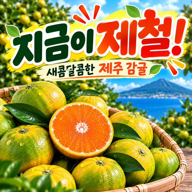 [하루30개] 최대19brix 백화점납품 무조건단골되는 당도선별 꿀 감귤, 1박스, 3kg (로얄정품)