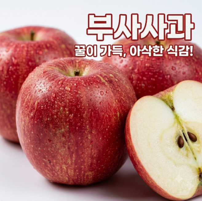 [50박스한정] 산지직송 고당도 가정용 부사사과, 1개, 5kg