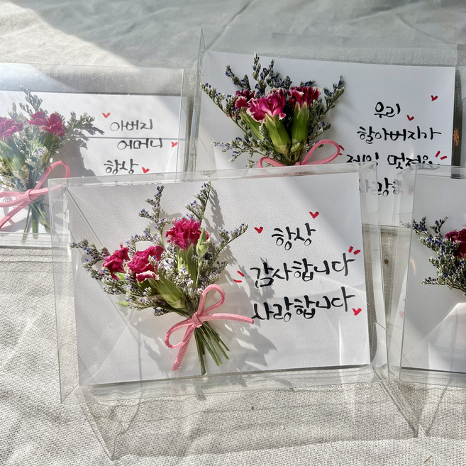 플라워드림 카네이션 드라이플라워 엽서 어버이날 스승의날, 1개, 레드