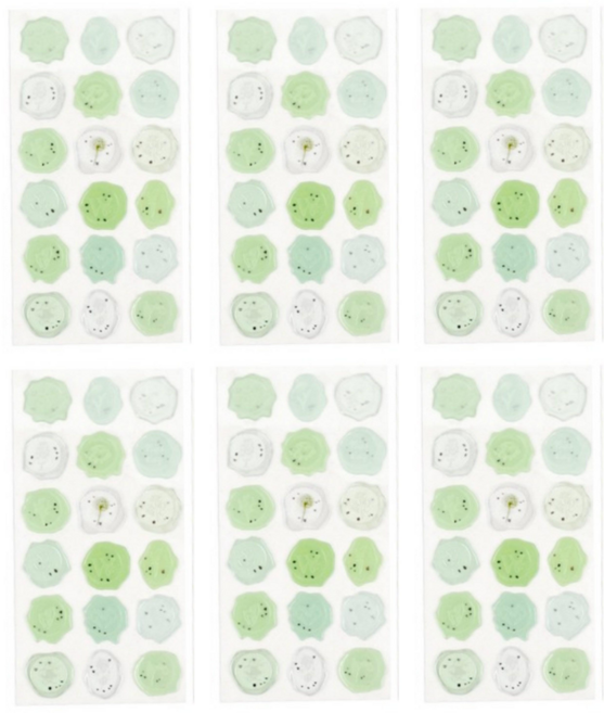 마이팝박스 실링 왁스 청첩장 봉투 스티커 6매 108p, 그린