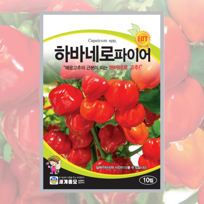 하바네로고추씨앗 10립 [26년포장] 빨간색 하바네로파이어