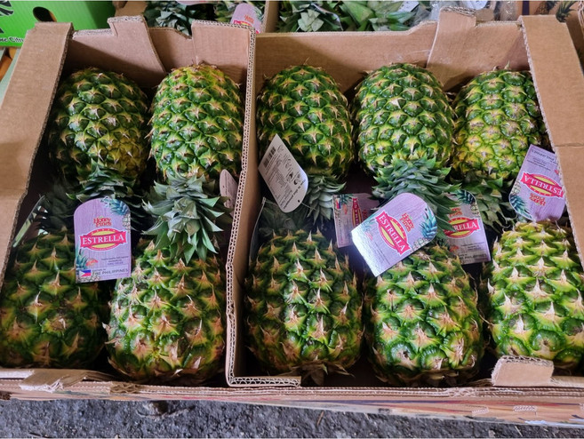 고당도 필리핀 골드 파인애플 특대 7수, 1박스, 12kg