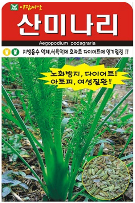 아람종묘 산미나리 씨앗, 1개