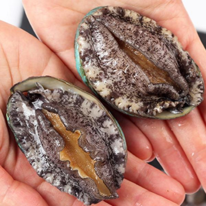 숨비해물 완도 산지직송 활전복1kg(18~20미내외), 1개