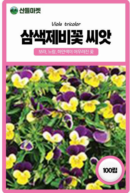 산들마켓 삼색제비꽃 씨앗 100립 삼색깔의 이쁜 다년생 제비꽃씨 종자, 1개